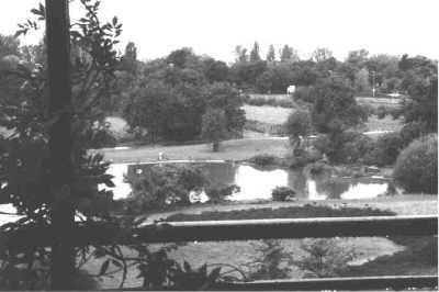 Abb. 5: Fensterausblick Universit�tsklinik Heidelberg, Kopfklinik